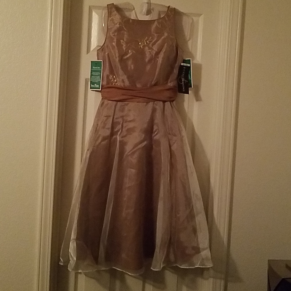 JC Collection Women's Dress
